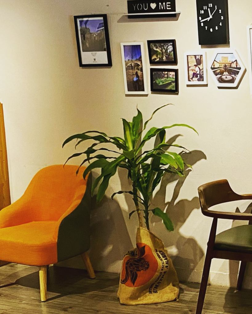 All is travel and coffee!